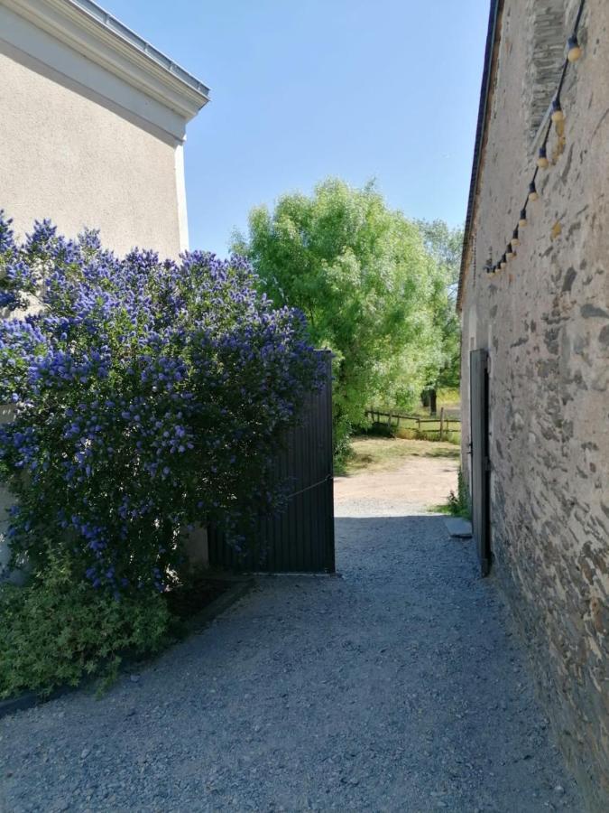 La Petite Boire - Chambres D'Hotes Pres D'Angers Murs-Erigne Exterior photo